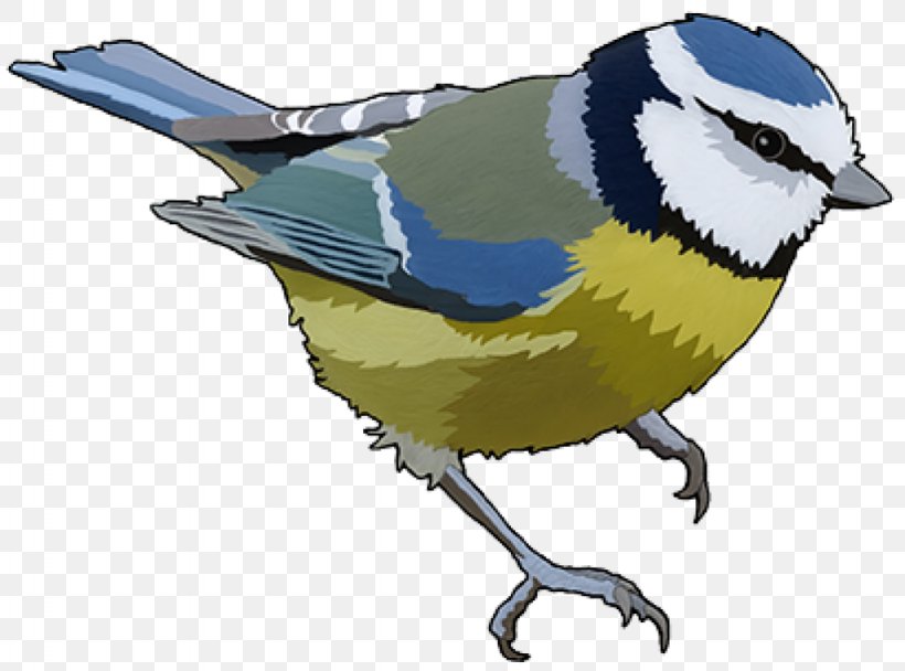Eurasian Blue Tit Bird Feeding Bird Feeders, PNG, 1024x760px, Tit, Beak, Bird, Bird Feeders, Bird Feeding Download Free