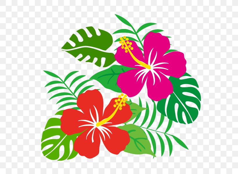 Hibiscus Flower., PNG, 600x600px, Floral Design, Artwork, Book Illustration, Cut Flowers, Flora Download Free