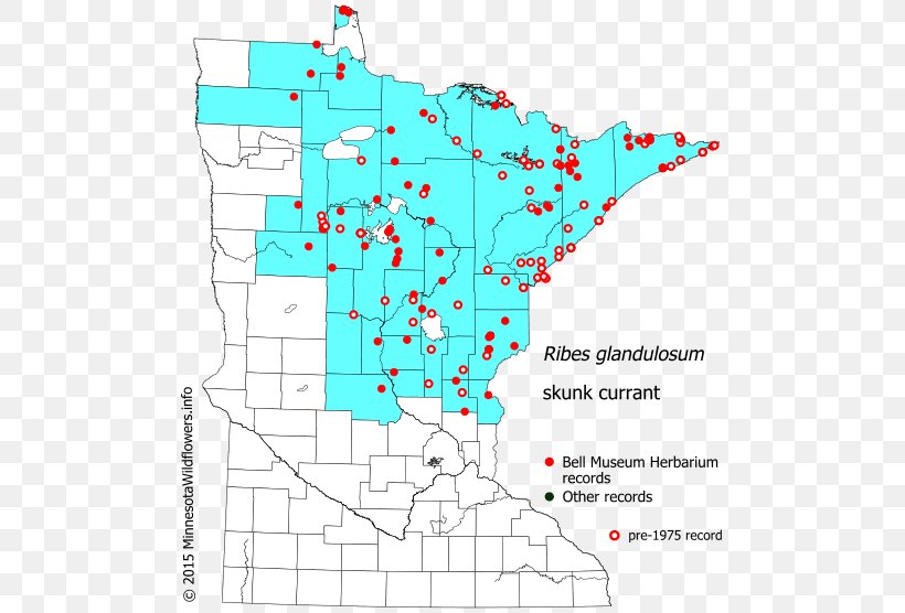 Line Land Lot Point Map Organism, PNG, 501x556px, Land Lot, Area, Diagram, Map, Organism Download Free