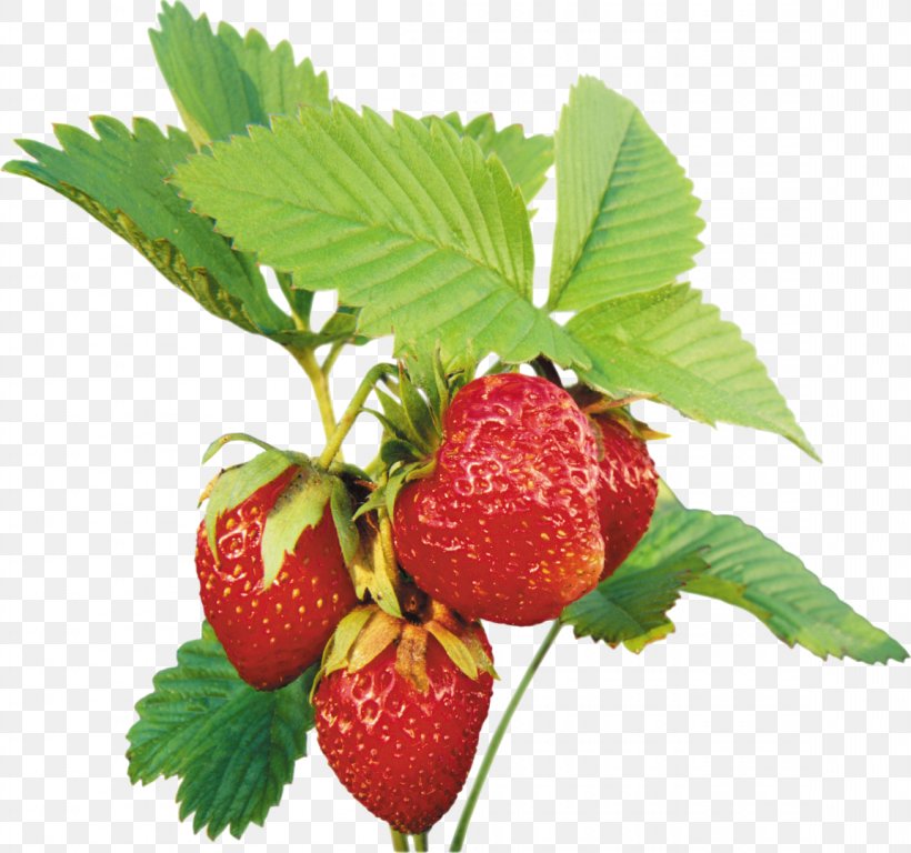 Musk Strawberry Clip Art, PNG, 1153x1080px, Strawberry, Berry, Computer Graphics, Food, Fragaria Download Free