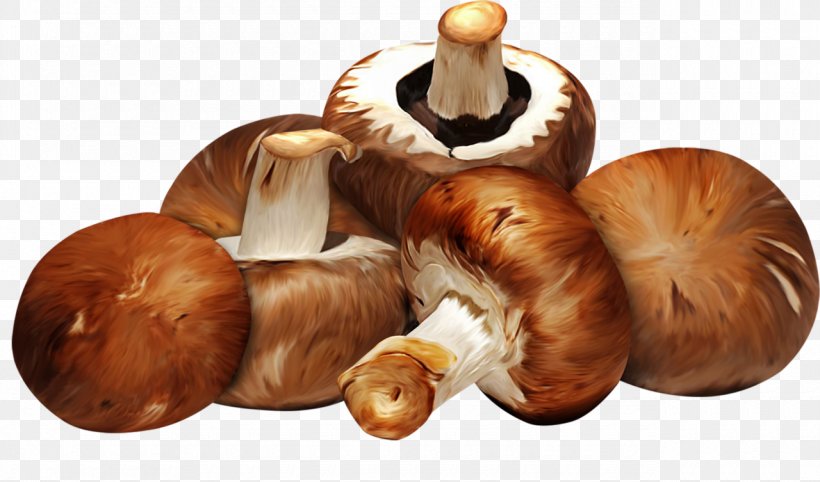 Scaloppine Edible Mushroom Shiitake Food, PNG, 1280x753px, Scaloppine, Edible Mushroom, Food, Fungus, Ingredient Download Free