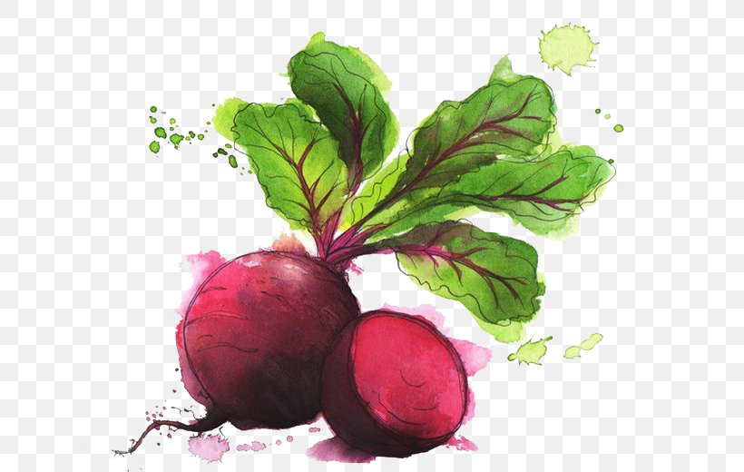 Food Drawing Idea Vegetable Illustration, PNG, 658x520px, Food, Art, Beet, Beetroot, Cooking Download Free
