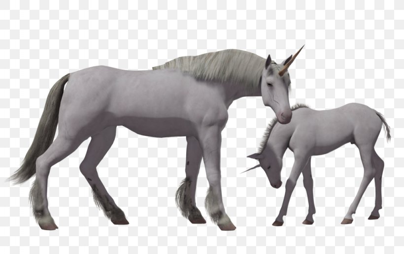 Horse Unicorn Desktop Wallpaper, PNG, 1024x645px, Horse, Colt, Donkey, Fictional Character, Foal Download Free