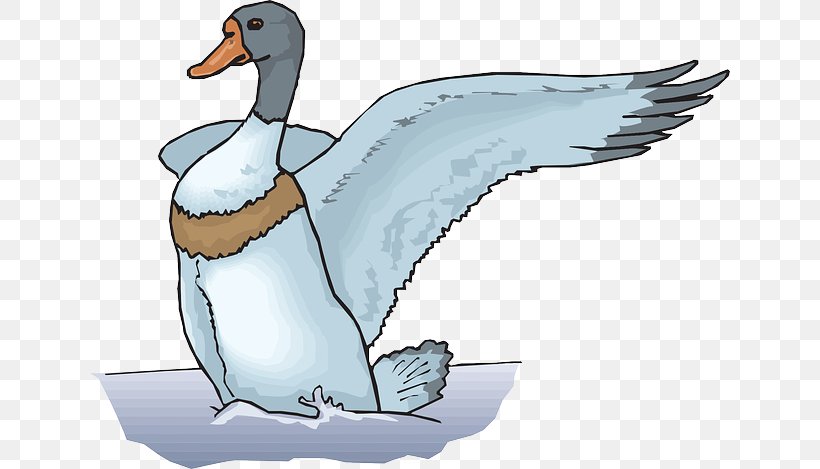 The Ugly Duckling Cygnini, PNG, 640x469px, Duck, Beak, Bird, Cisne, Cygnini Download Free