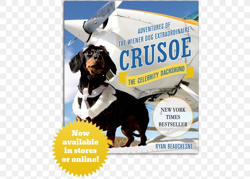 Crusoe, The Celebrity Dachshund: Adventures Of The Wiener Dog Extraordinaire Book Crusoe, The Worldly Wiener Dog: Further Adventures With The Celebrity Dachshund Amazon.com, PNG, 487x588px, Dachshund, Advertising, Amazoncom, Author, Bestseller Download Free