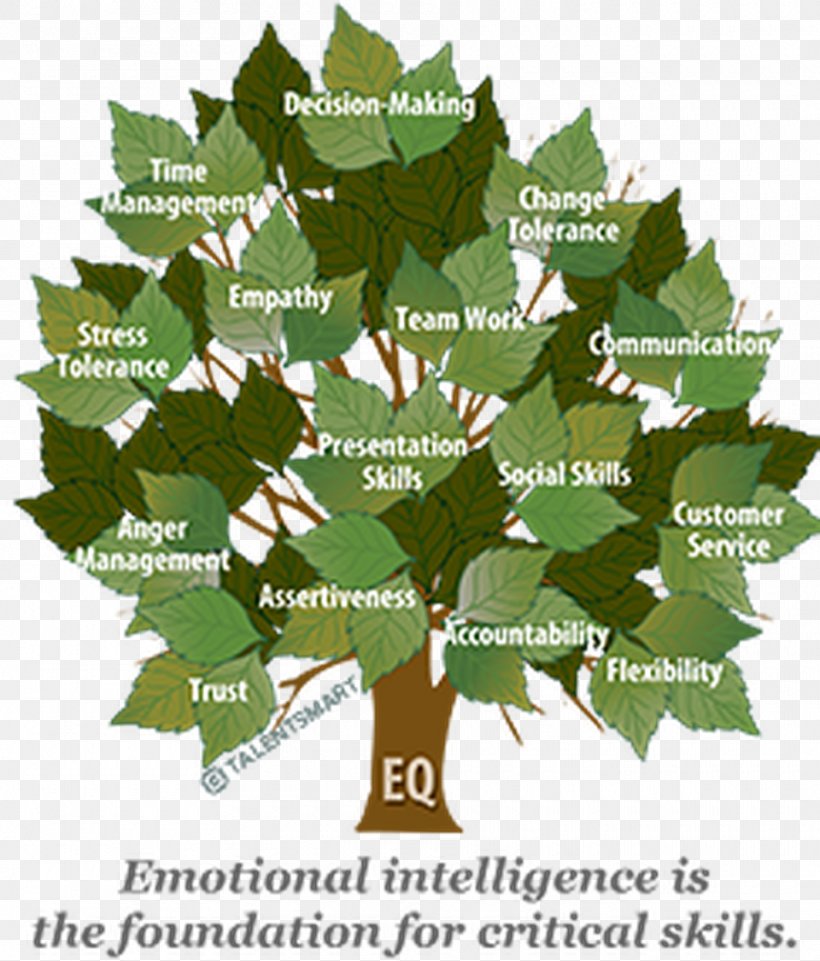The Emotional Intelligence Appraisal Understanding Emotional Intelligence, PNG, 960x1126px, Emotional Intelligence, Behavior, Branch, Emotion, Empathy Download Free