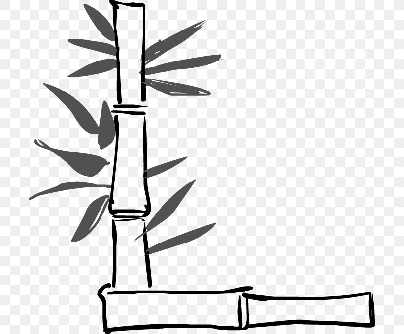 Twig Line Art Plant Stem Cartoon Clip Art, PNG, 702x679px, Twig, Artwork, Black And White, Branch, Cartoon Download Free