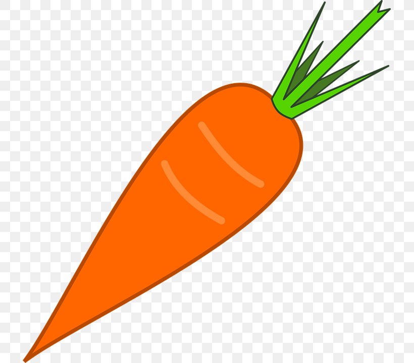 Carrot Vegetable Food Image Juice, PNG, 729x720px, Carrot, Baby Carrot, Cooking, Culinary Arts, Food Download Free