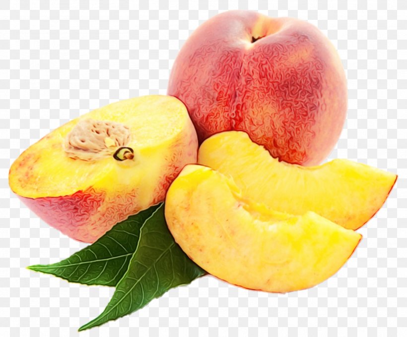 Peach Fruit Food European Plum Yellow, PNG, 1613x1339px, Watercolor, Apple, European Plum, Food, Fruit Download Free