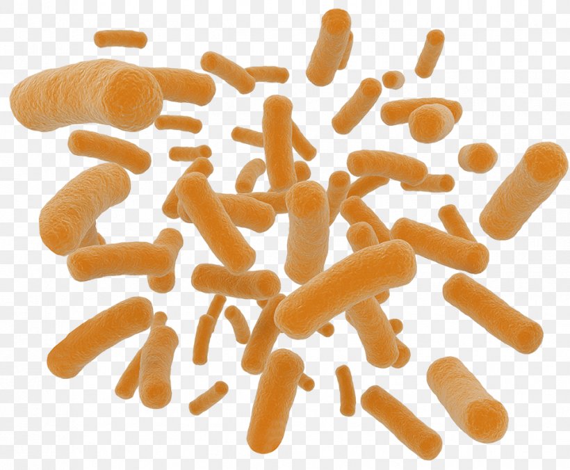 Probiotic Dietary Supplement Health Nutrient Prebiotic, PNG, 969x800px, Probiotic, Baby Carrot, Bacteria, Carrot, Diet Download Free