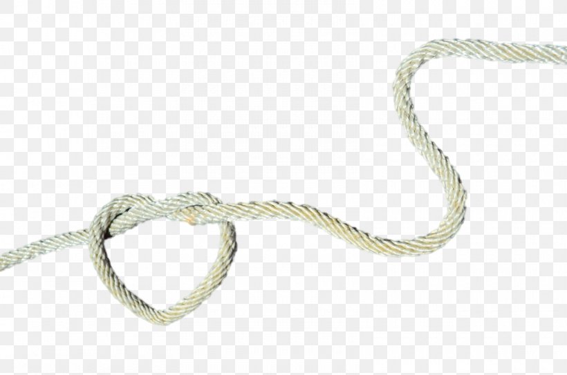 Rope Knot Clip Art, PNG, 1600x1060px, Rope, Heart, Knot, Photography, Reptile Download Free