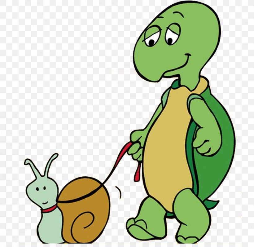 Turtle Drawing Clip Art, PNG, 1181x1148px, Turtle, Amphibian, Animation, Area, Art Download Free