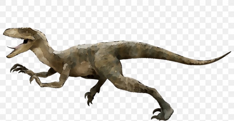Velociraptor Deinonychus Utahraptor Achillobator Tyrannosaurus, PNG, 1146x593px, Velociraptor, Achillobator, Animal Figure, Apatosaurus, Art Download Free