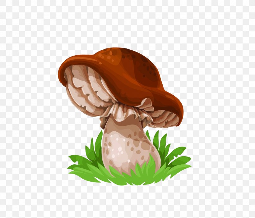 Common Mushroom Drawing Fungus Edible Mushroom, PNG, 1580x1354px, Mushroom, Cep, Chanterelle, Common Mushroom, Drawing Download Free
