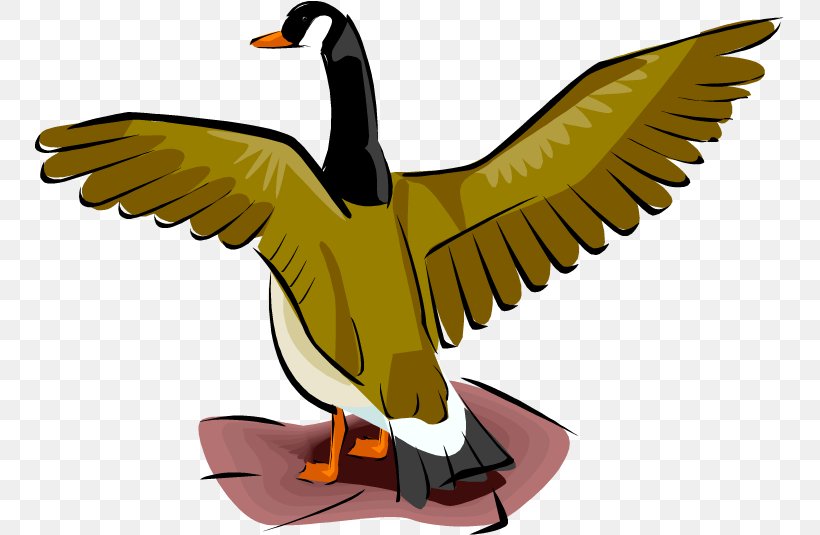 Duck Goose Mallard Clip Art, PNG, 750x535px, Duck, Beak, Bird, Drawing, Ducks Geese And Swans Download Free