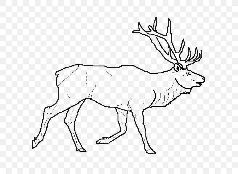Elk Reindeer Drawing Line Art, PNG, 600x600px, Elk, Animal Figure, Antler, Black And White, Color Download Free