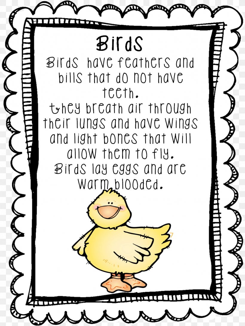 First Grade Kindergarten Family Teacher School, PNG, 1127x1502px, First Grade, Area, Art, Beak, Bird Download Free