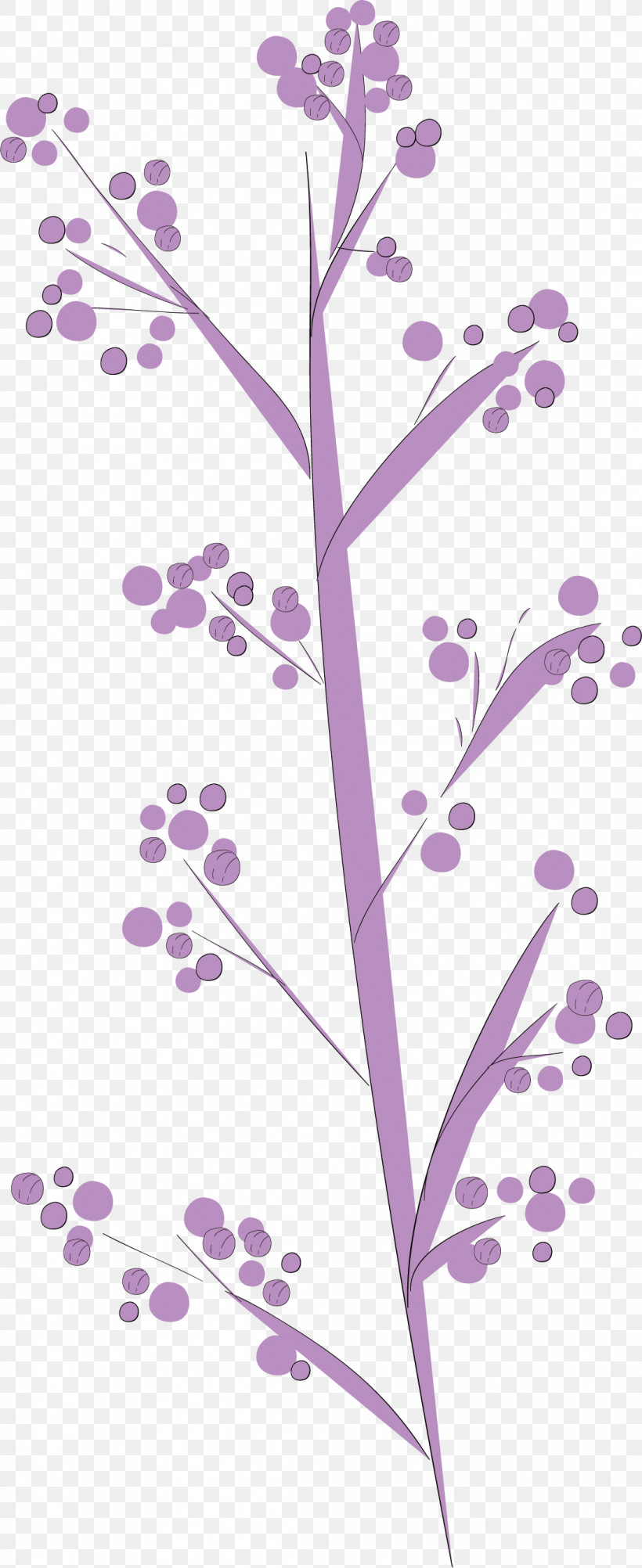 Simple Leaf Simple Leaf Drawing Simple Leaf Outline, PNG, 1097x2682px, Simple Leaf, Biology, Floral Design, Flower, Leaf Download Free