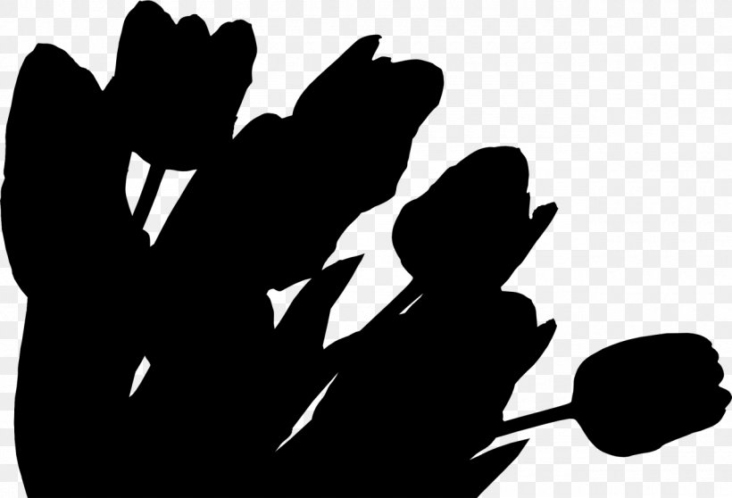 Sticker Tulip Flower Garden Kan, PNG, 1280x872px, Sticker, Blackandwhite, Bulb, Decal, Finger Download Free