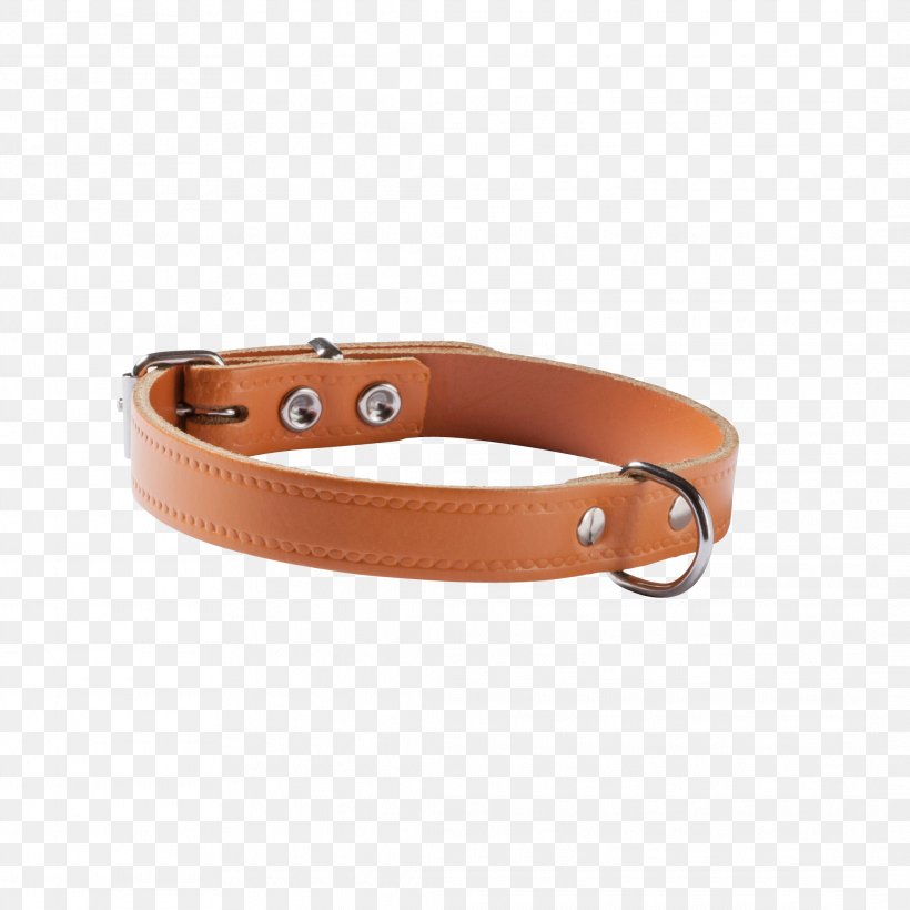 Belt Buckles Dog Collar Dog Collar Leash, PNG, 2127x2127px, Belt Buckles, Belt, Belt Buckle, Brown, Buckle Download Free