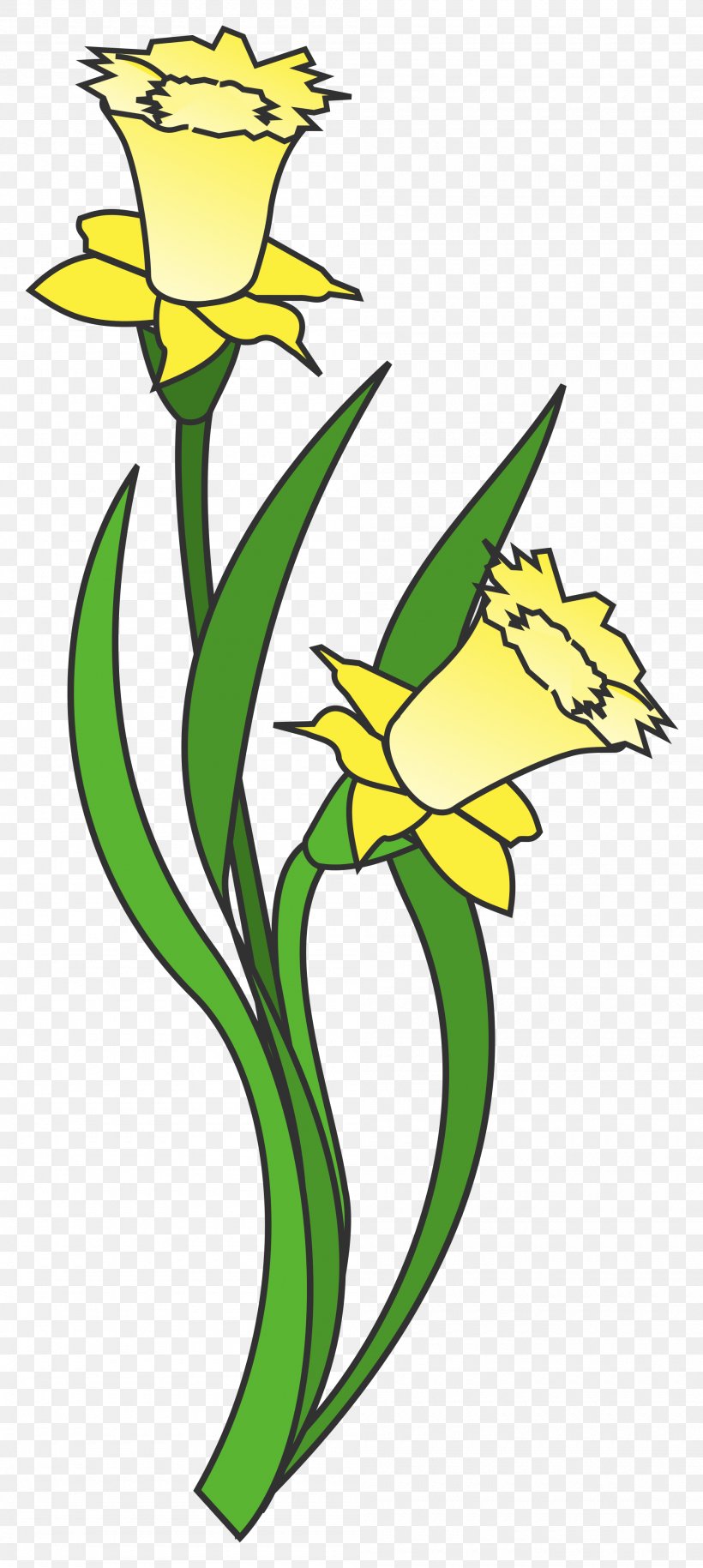 Daffodil Clip Art, PNG, 2000x4462px, Daffodil, Art, Artwork, Black And White, Cut Flowers Download Free