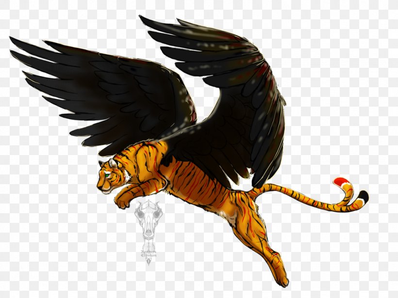 Eagle Beak Feather Legendary Creature, PNG, 1024x768px, Eagle, Beak, Bird, Bird Of Prey, Feather Download Free