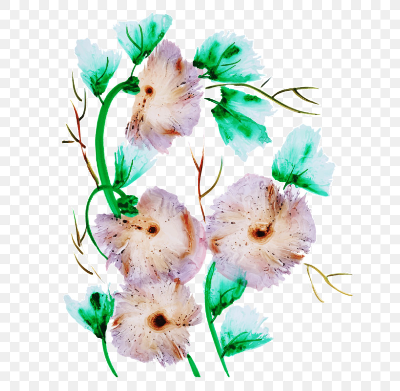 Flower Plant Petal Branch Cut Flowers, PNG, 800x800px, Flower, Branch, Cut Flowers, Morning Glory, Petal Download Free