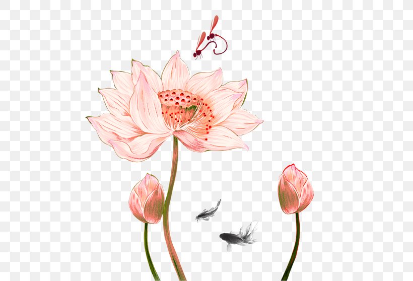 Nelumbo Nucifera Drawing Ink Wash Painting Chinese Painting, PNG, 504x558px, Nelumbo Nucifera, Art, Blossom, Chinese Painting, Cut Flowers Download Free