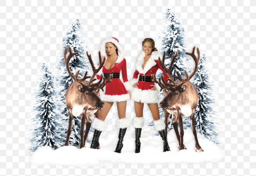 Reindeer Santa Claus Christmas Ornament Fake Fur, PNG, 693x564px, Reindeer, Christmas, Christmas Decoration, Christmas Ornament, Costume Download Free