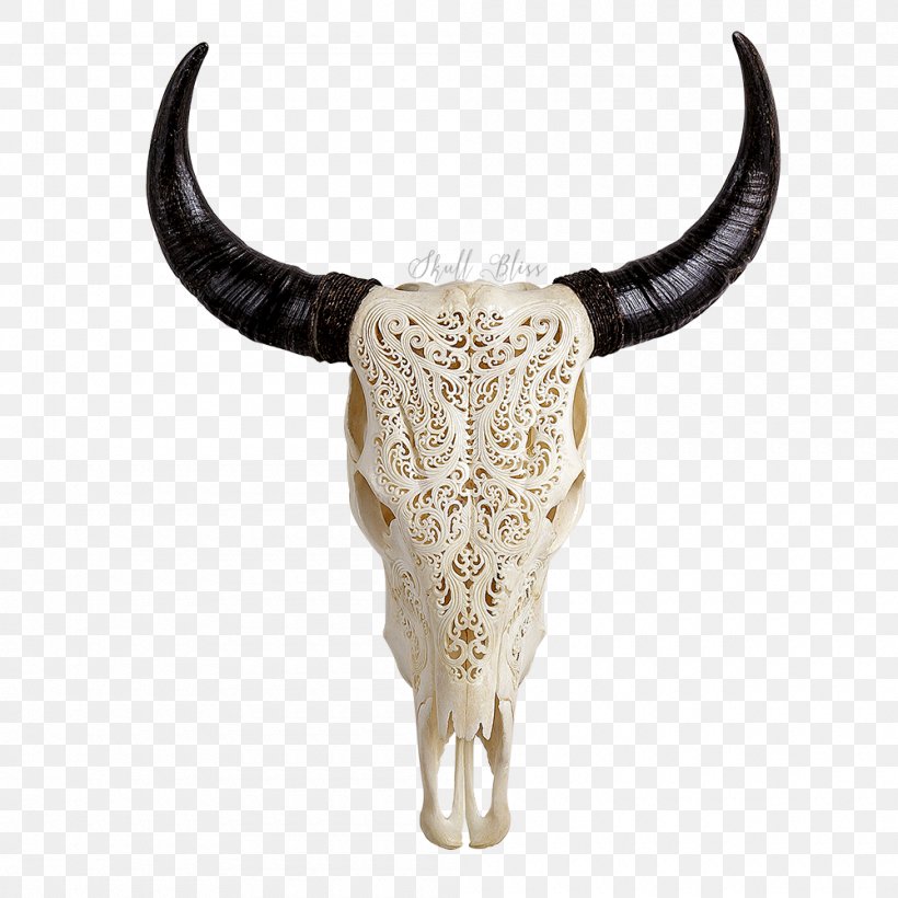 Texas Longhorn Skull Bone Bull, PNG, 1000x1000px, Texas Longhorn, African Buffalo, Bone, Bull, Cattle Download Free