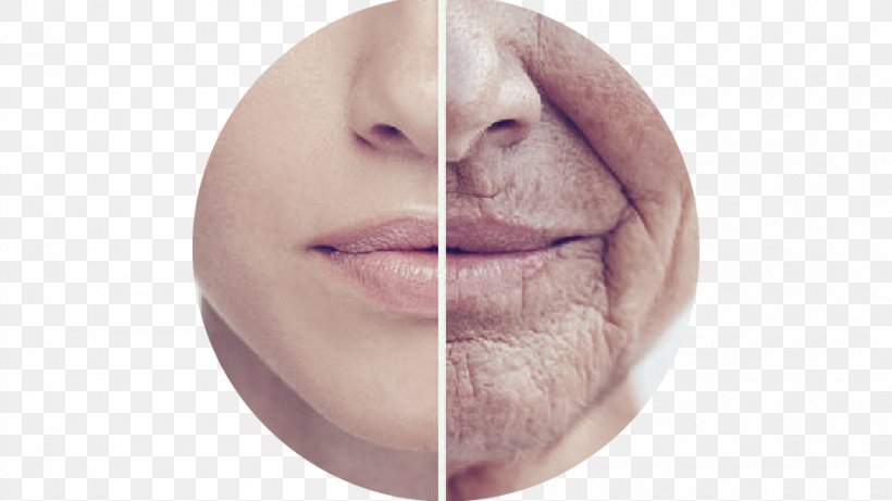 Ageing Research Aging-associated Diseases Science Life Extension, PNG, 950x535px, Ageing, Age, Agingassociated Diseases, Beauty, Cheek Download Free