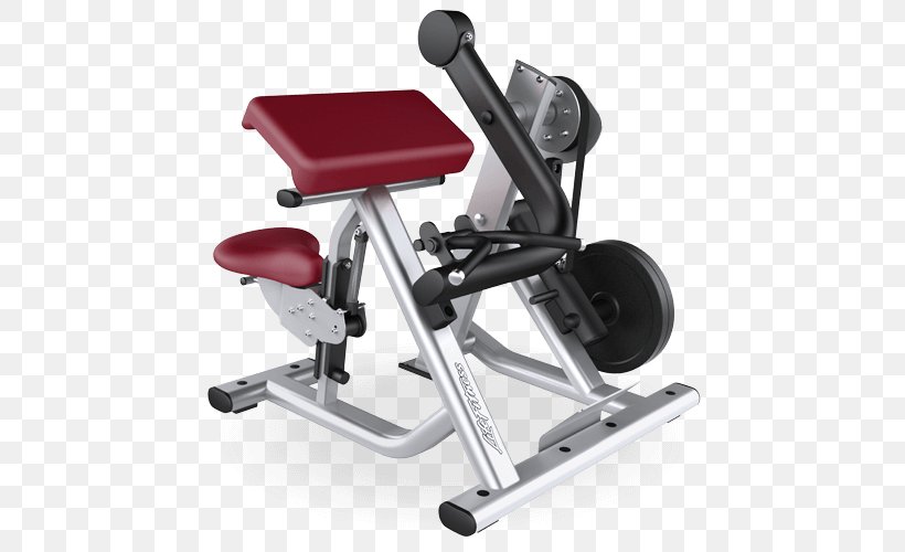 Biceps Curl Exercise Equipment Fitness Centre Exercise Machine Life Fitness, PNG, 500x500px, Biceps Curl, Bench, Biceps, Bodybuilding, Elliptical Trainer Download Free