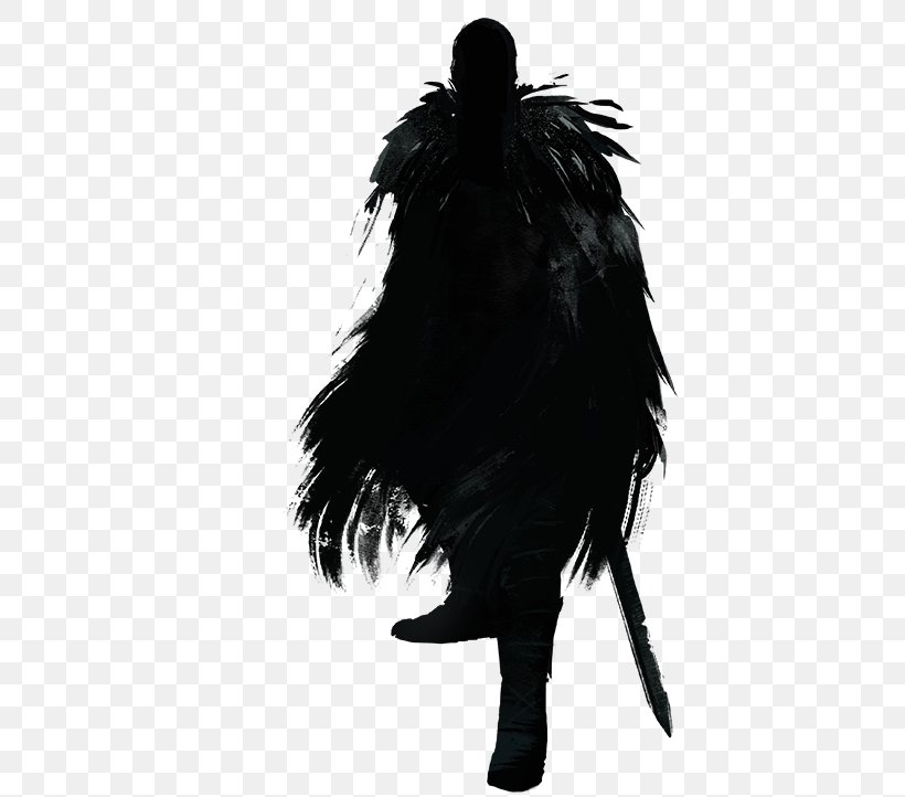 Black M Silhouette White Feather, PNG, 511x722px, Black, Beak, Black And White, Black M, Feather Download Free