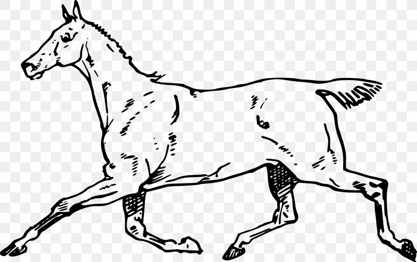 Mustang Mule Canter And Gallop Clip Art, PNG, 1920x1212px, Mustang, Animal Figure, Art, Black And White, Bridle Download Free