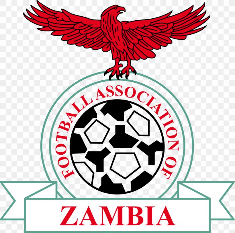 Zambia National Football Team COSAFA Cup Africa Cup Of Nations South Africa National Football Team, PNG, 1200x1189px, Zambia National Football Team, Africa Cup Of Nations, Area, Artwork, Ball Download Free