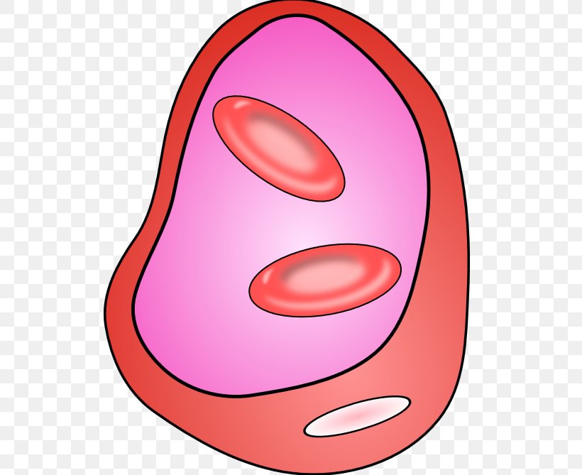 Clip Art Red Blood Cell Vector Graphics Openclipart, PNG, 614x669px, Cell, Biology, Blood Cell, Cheek, Eukaryote Download Free