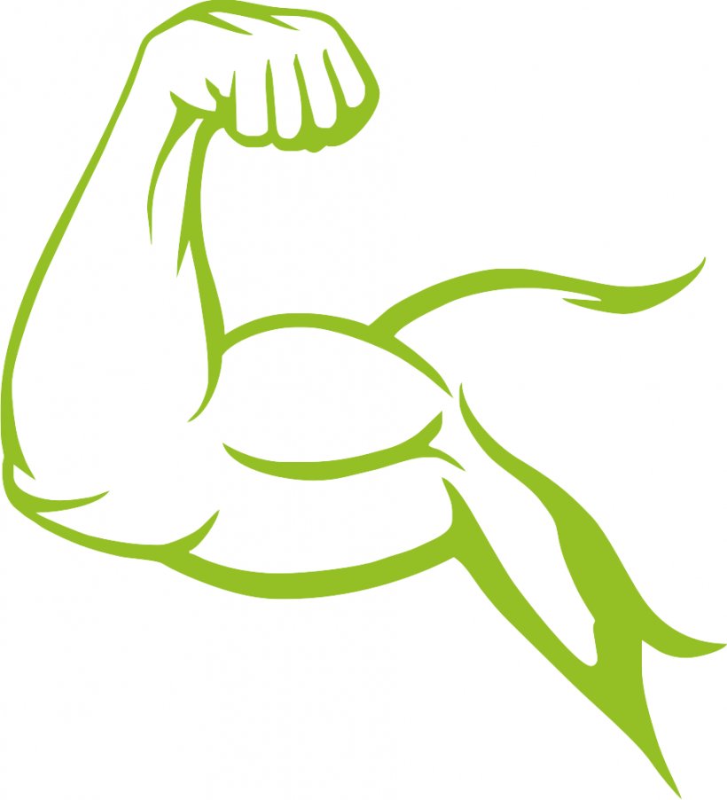 Leaf Drawing, PNG, 914x1006px, Muscle, Arm, Biceps, Bodybuilding, Drawing Download Free