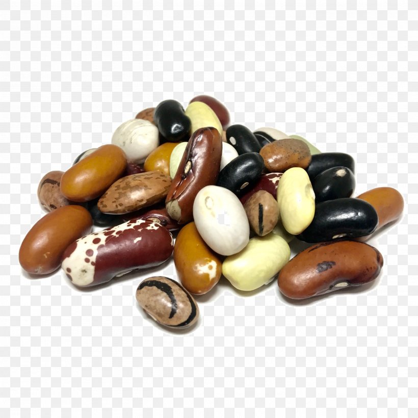 Organic Food Bean Shady Side Farm Inc Minestrone, PNG, 2716x2716px, Organic Food, Bean, Chocolate Coated Peanut, Commodity, Confectionery Download Free