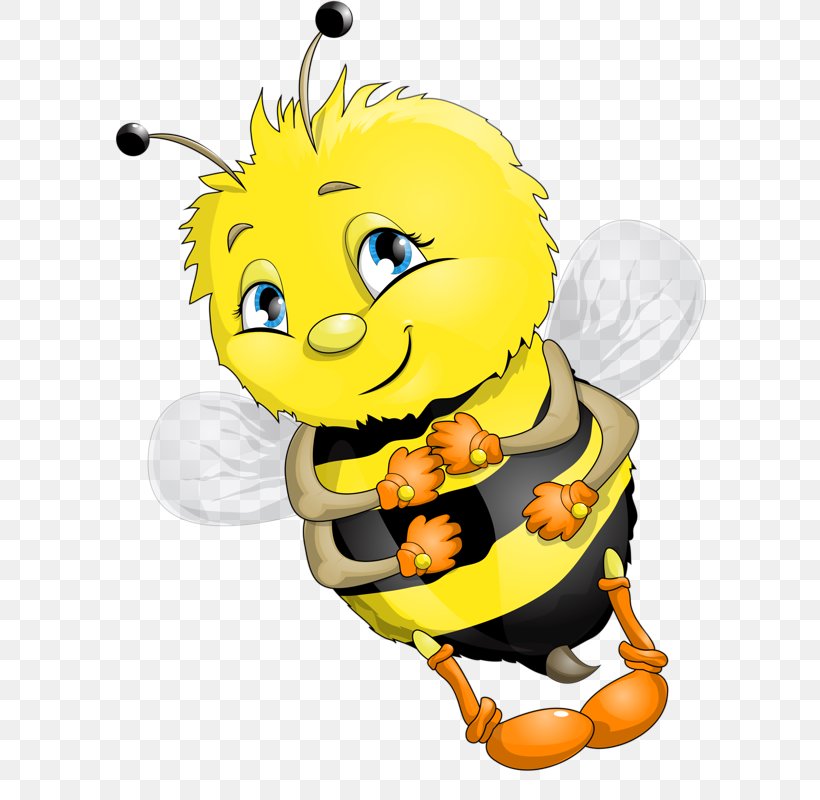 Western Honey Bee Drawing Clip Art, PNG, 592x800px, Bee, Animation, Art, Bumblebee, Cartoon Download Free