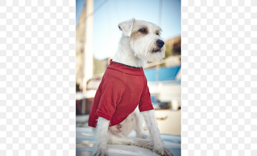 Dog Breed Companion Dog Dog Clothes Snout, PNG, 500x500px, Dog Breed, Breed, Carnivoran, Clothing, Companion Dog Download Free