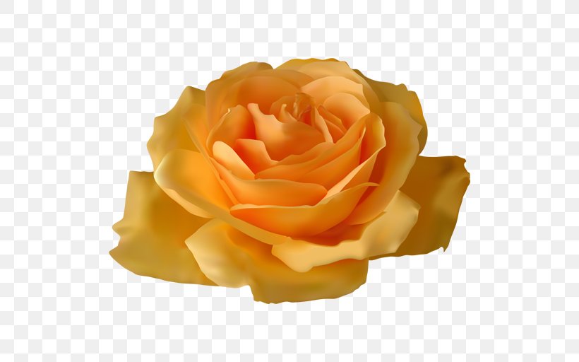 Garden Roses Flower Vector Graphics Clip Art, PNG, 512x512px, Rose, Art, Blue Rose, Cut Flowers, Floral Design Download Free