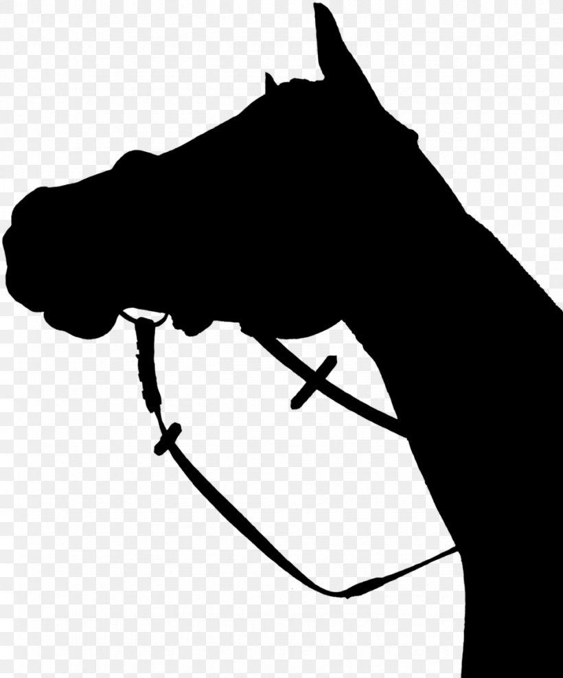 Head Line Art Black-and-white Horse Snout, PNG, 972x1170px, Head, Blackandwhite, Hand, Horse, Line Art Download Free