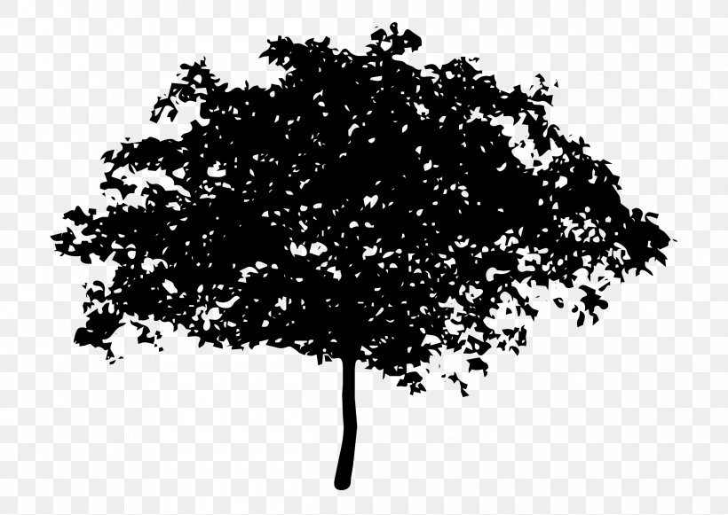 Tree Oak Silhouette Clip Art, PNG, 2400x1703px, Tree, Black And White, Branch, Color, Leaf Download Free