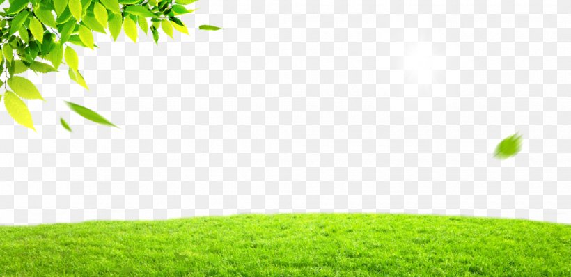 Green Leaf, PNG, 1030x500px, Green, Brand, Designer, Flora, Grass Download Free