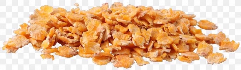 Horse Corn Flakes Maize Equine Nutrition Cereal, PNG, 2190x640px, Horse, Cereal, Commodity, Cooking, Corn Flakes Download Free