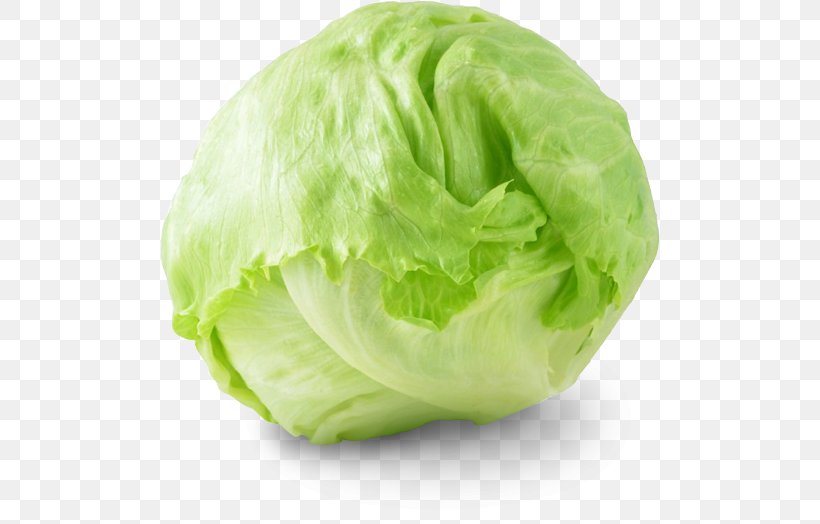 Iceberg Lettuce Organic Food Vegetable Salad Grocery Store, PNG, 500x524px, Iceberg Lettuce, Brussels Sprout, Cabbage, Collard Greens, Cruciferous Vegetables Download Free