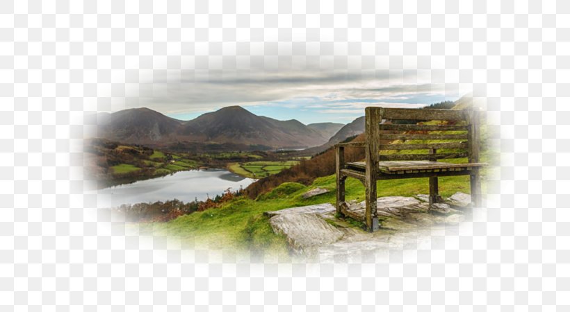 Landscape Chair Bench Nature Landscaping, PNG, 800x450px, Landscape, Bench, Chair, Dining Room, Fence Download Free