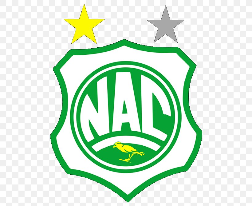 Nacional Atlético Clube Campeonato Paraibano 2018 Nacional Futebol Clube Patos, PNG, 670x670px, Campeonato Paraibano, Area, Artwork, Botafogo Futebol Clube, Brand Download Free