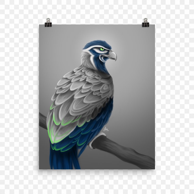 Seattle Seahawks Macaw Bird Of Prey Art, PNG, 1000x1000px, Seattle Seahawks, Art, Beak, Bird, Bird Of Prey Download Free