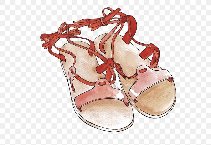 Slipper Shoe Sandal Illustration, PNG, 564x564px, Slipper, Collar, Designer, Fashion, Flipflops Download Free